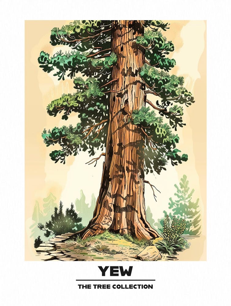 Yew Tree Storybook Illustration 4 Poster