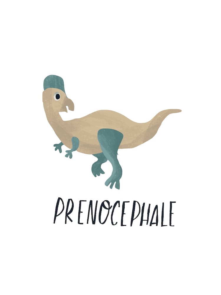 Prenocephale