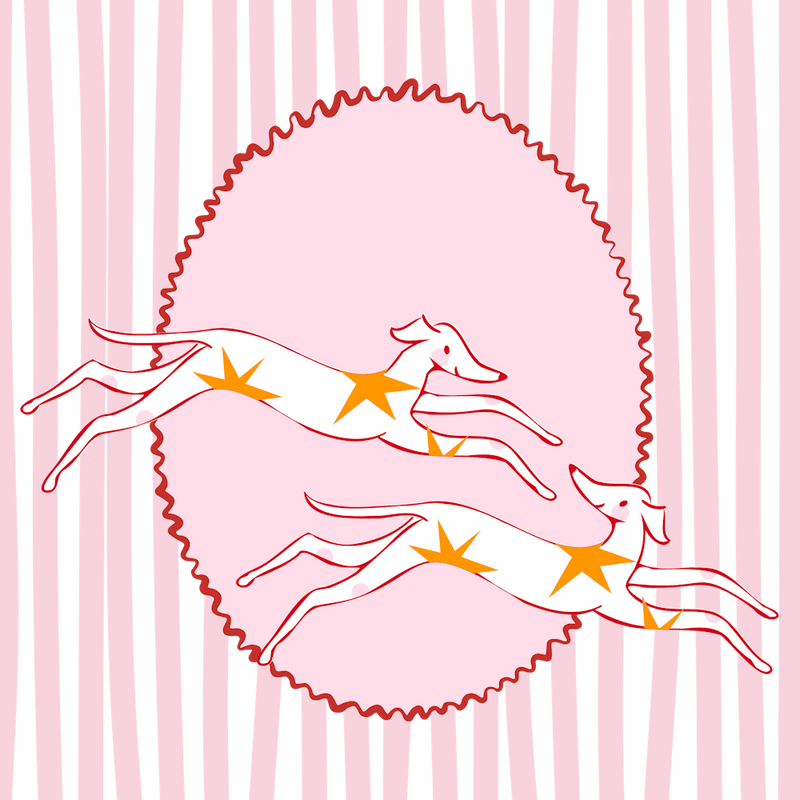 whippet dog against striped pink background