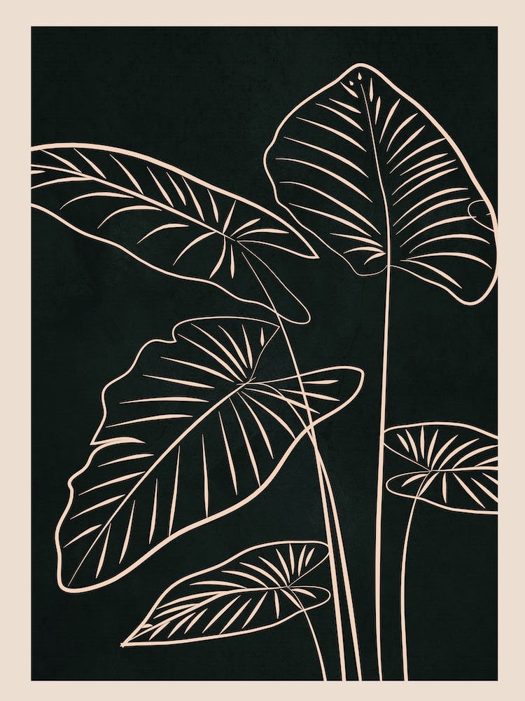 Minimalist Black & White Leaves 3