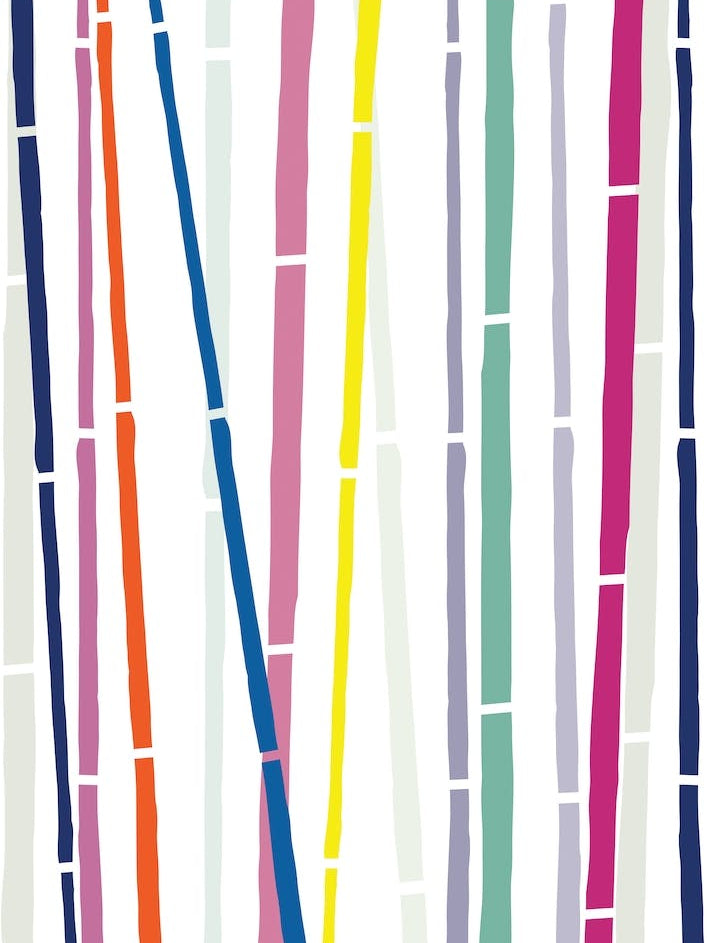 Bamboo Rainbow