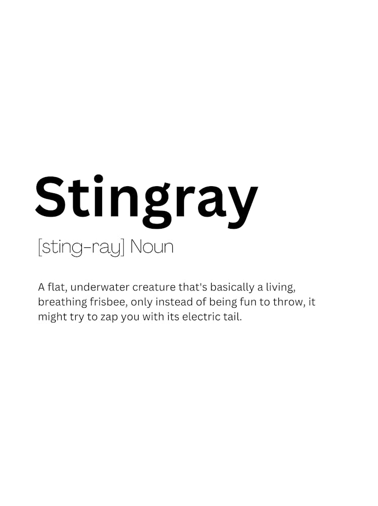Stingray Definition Meaning