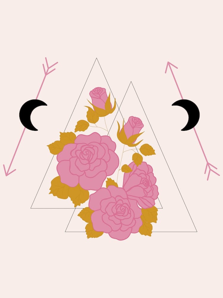 Pink Rose And Geometrics