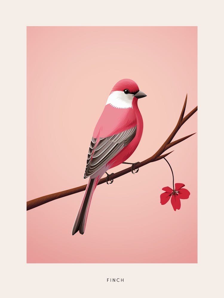 Minimalist Finch 3 Bird Poster