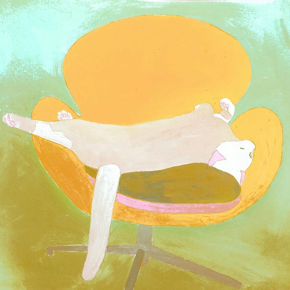 Cat On Orange Chair