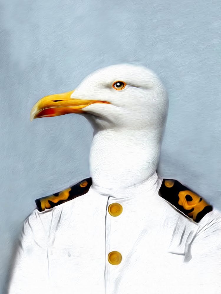 Seaquall Quinn The Sailor Pet Portraits