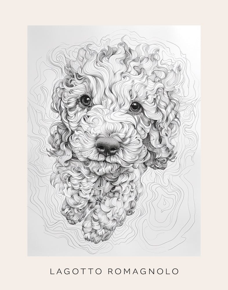 Lagotto Romagnolo Dog Line Sketch 3 Poster