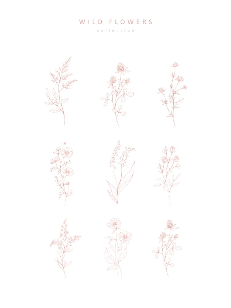 Wild Flowers
