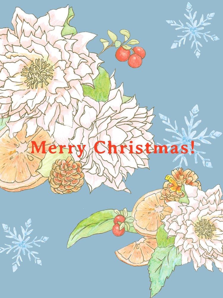 Christmas rose