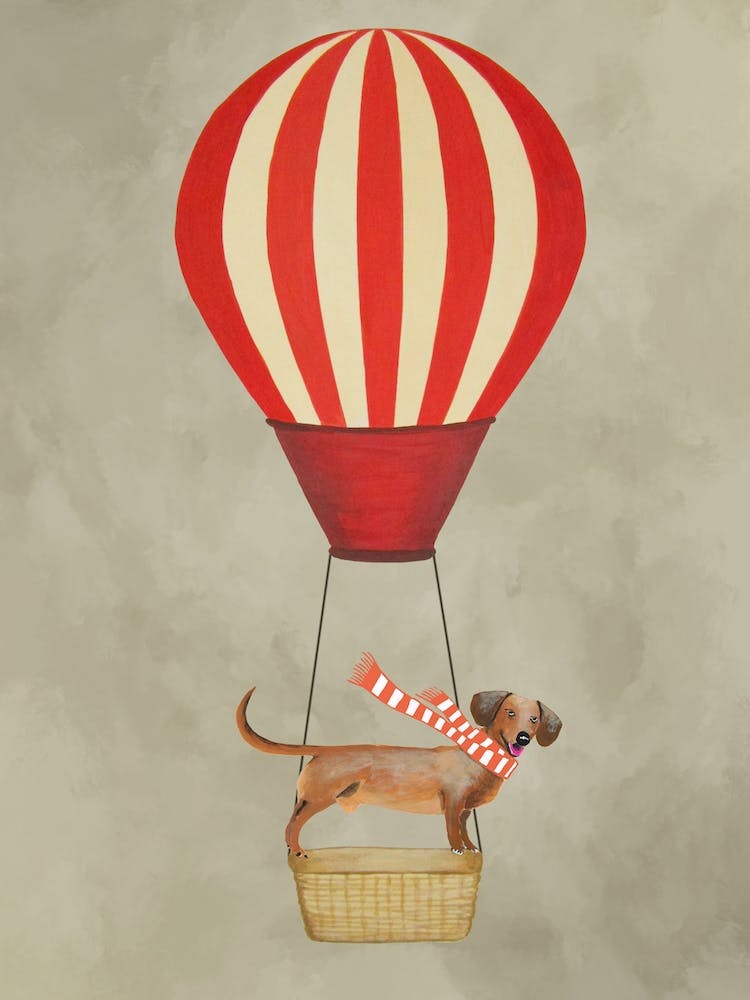 Dachshund With Hot Airballoon