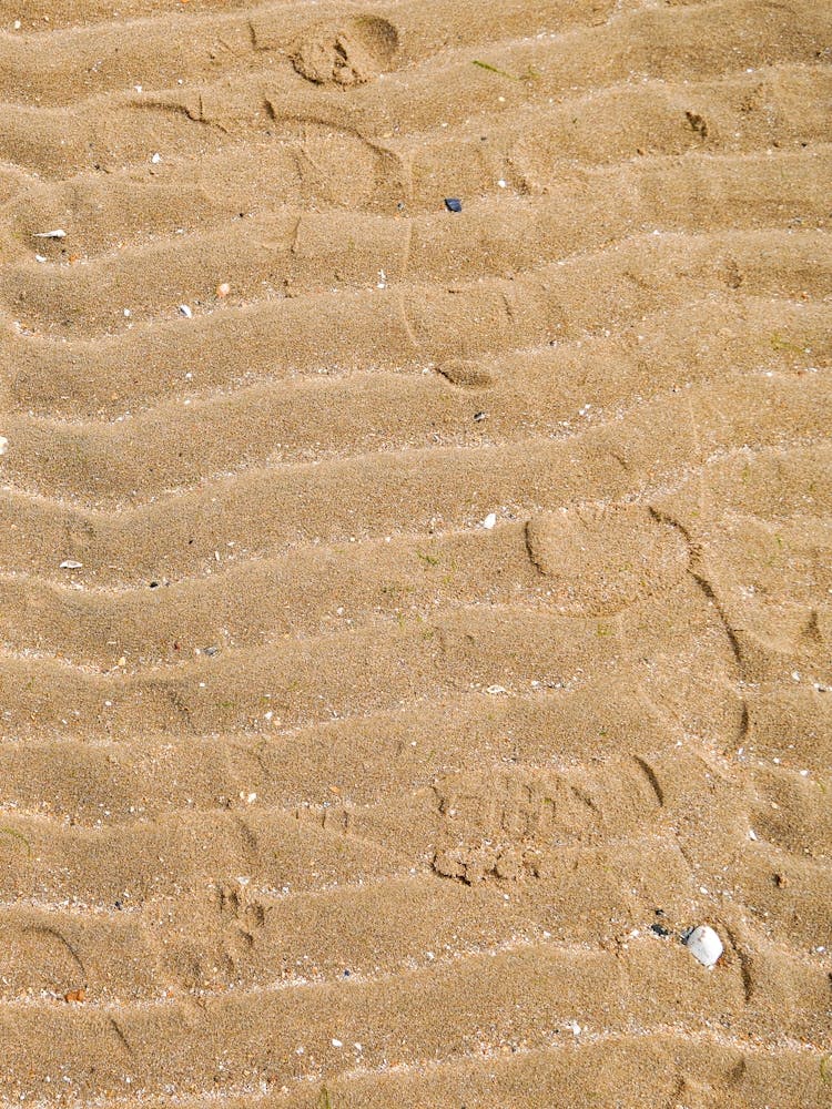 Sand Texture