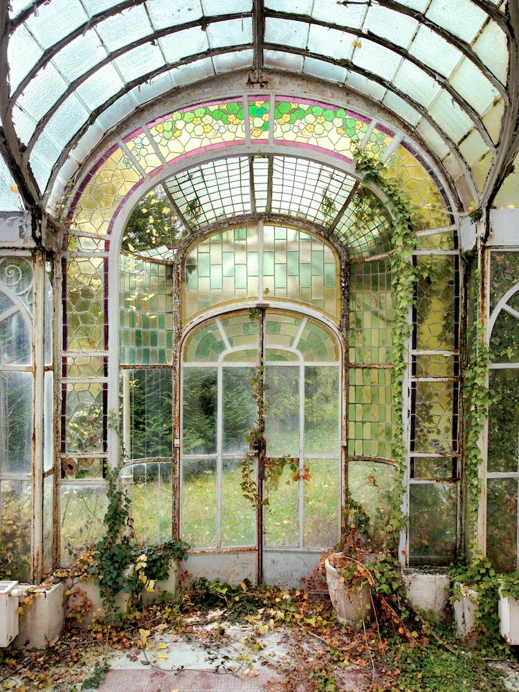 Winter Garden
