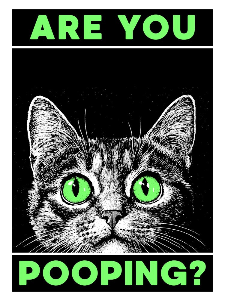 Are You Pooping? Funny Cat Bathroom Poster for Toilet Humor, Bold Black & White & Neon Green Print Bathroom Wall Decor for Cat Lovers, Funny Art Cat Poster Perfect for Bathroom, Powder Room