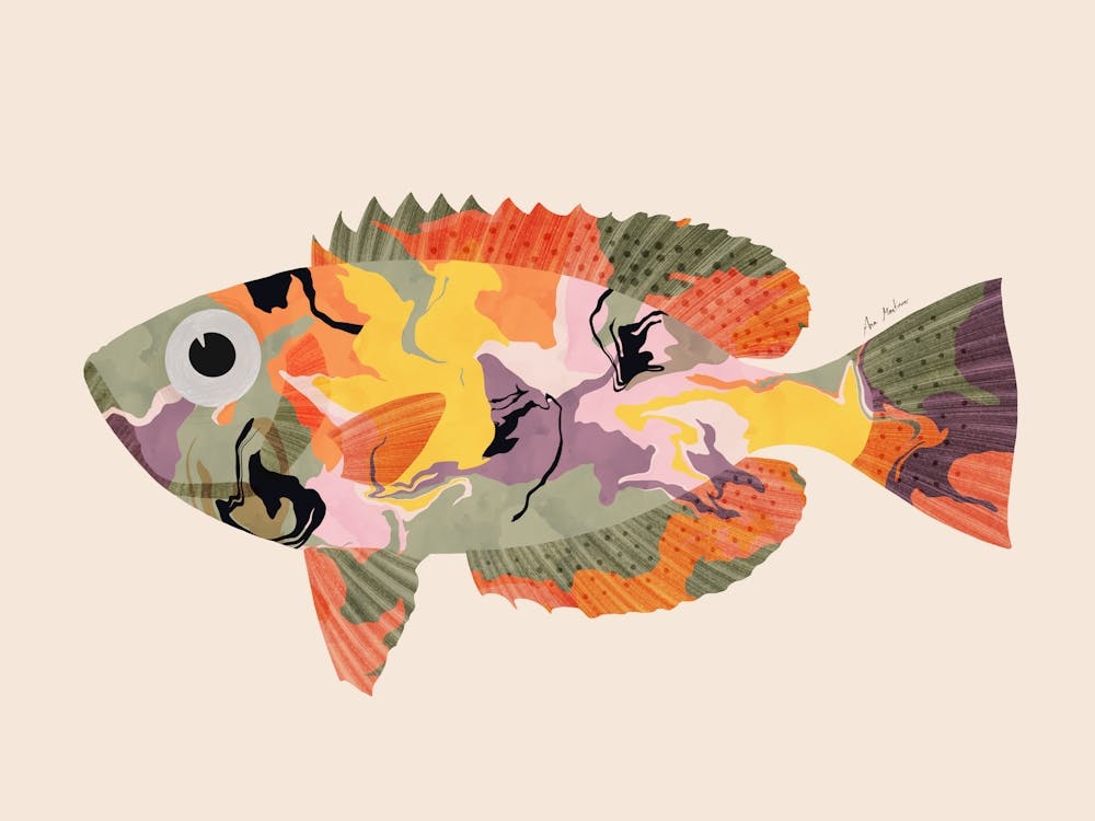 Fish II