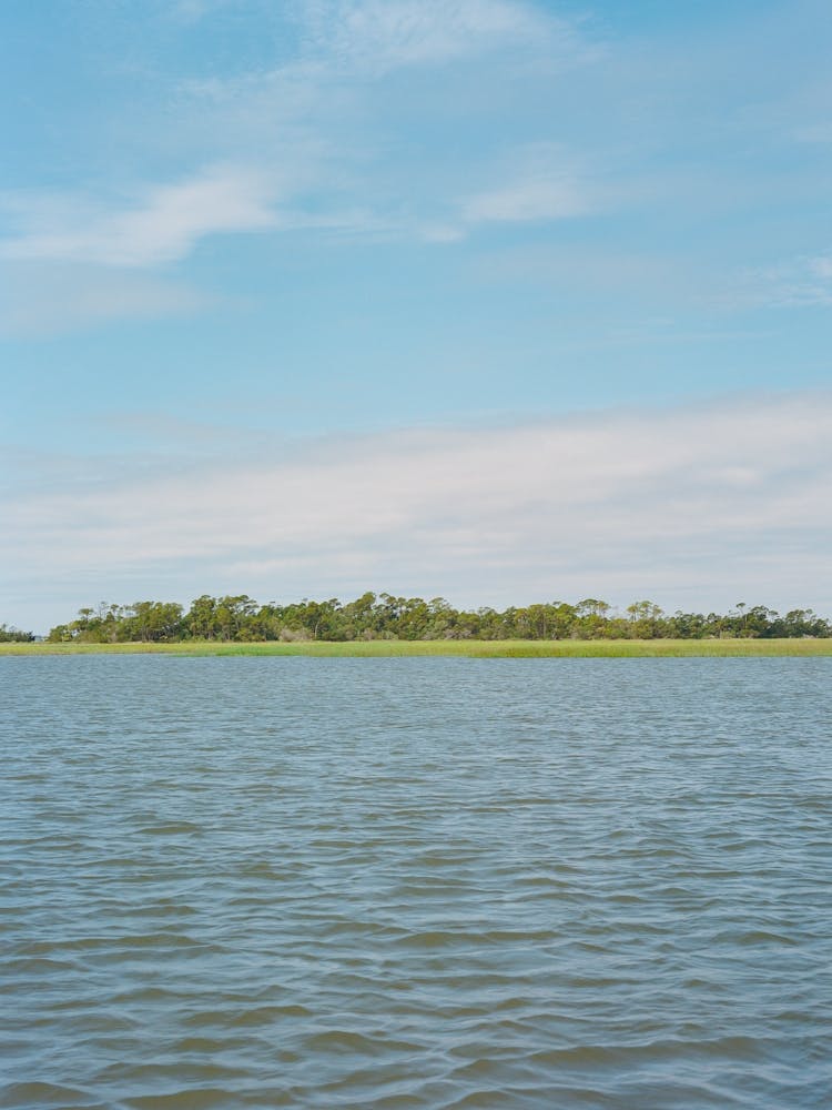 South Carolina Summer auf Film