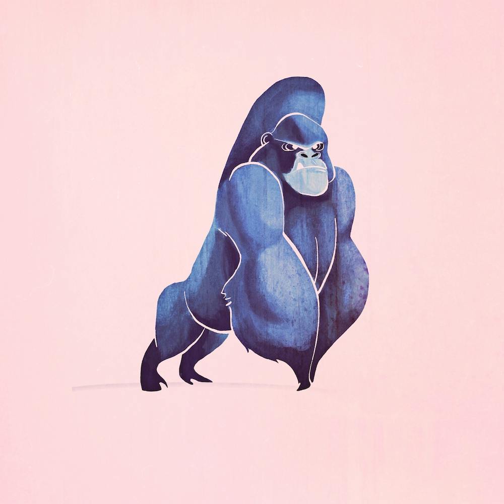 Gorilla