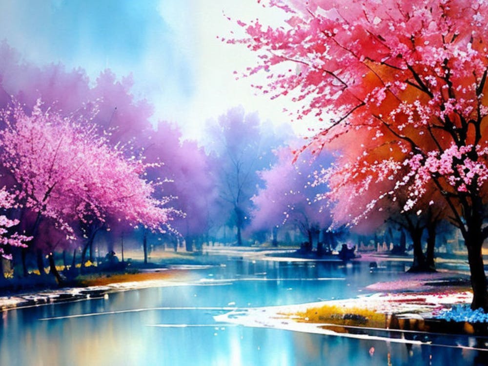 Cherry Blossoms 22