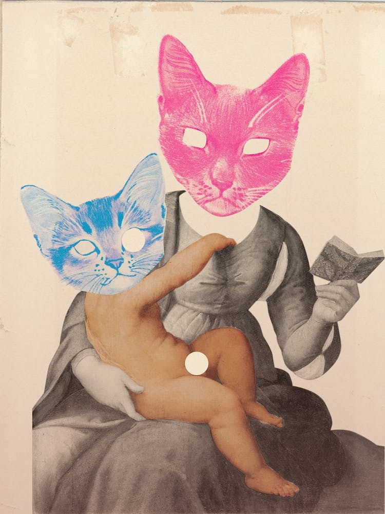 Catomania, Pink And Blue