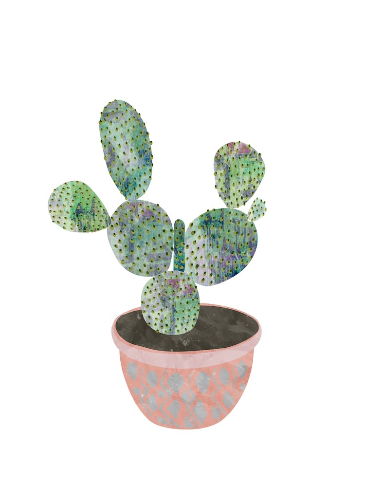Cactus 1