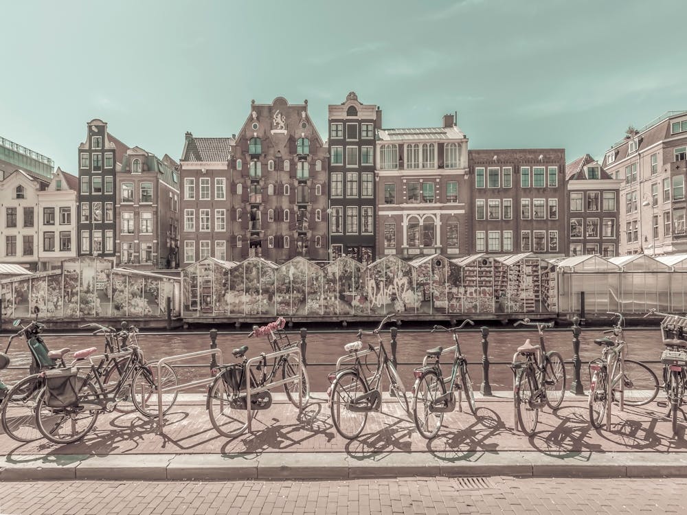 Amsterdam Flower Market Urban Vintage Style