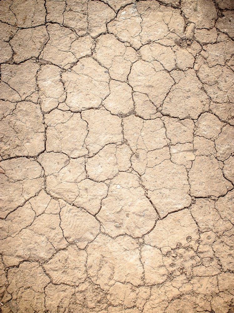 Cracked Dirt Background