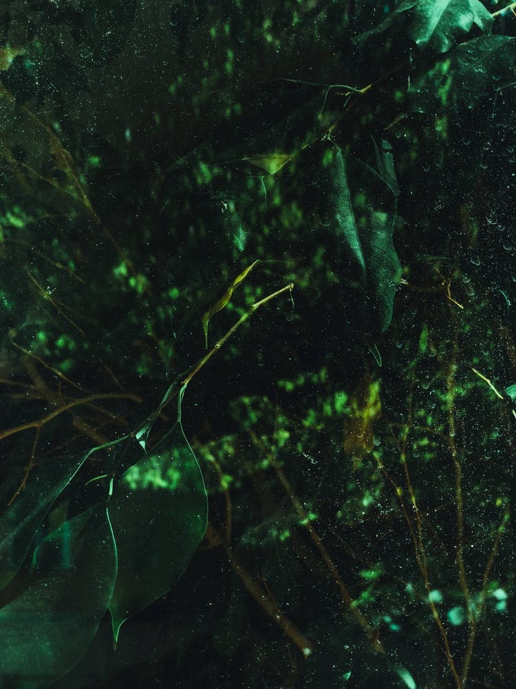 Abstract Greens