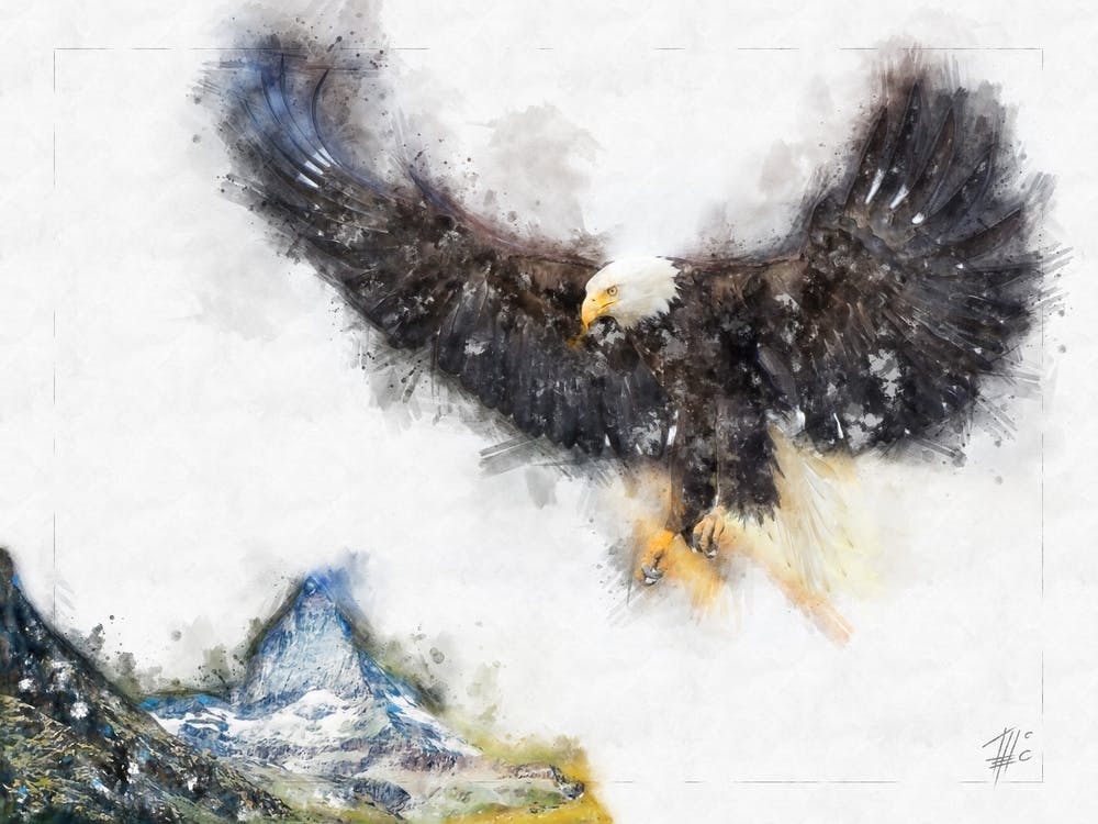 Flying Eagle