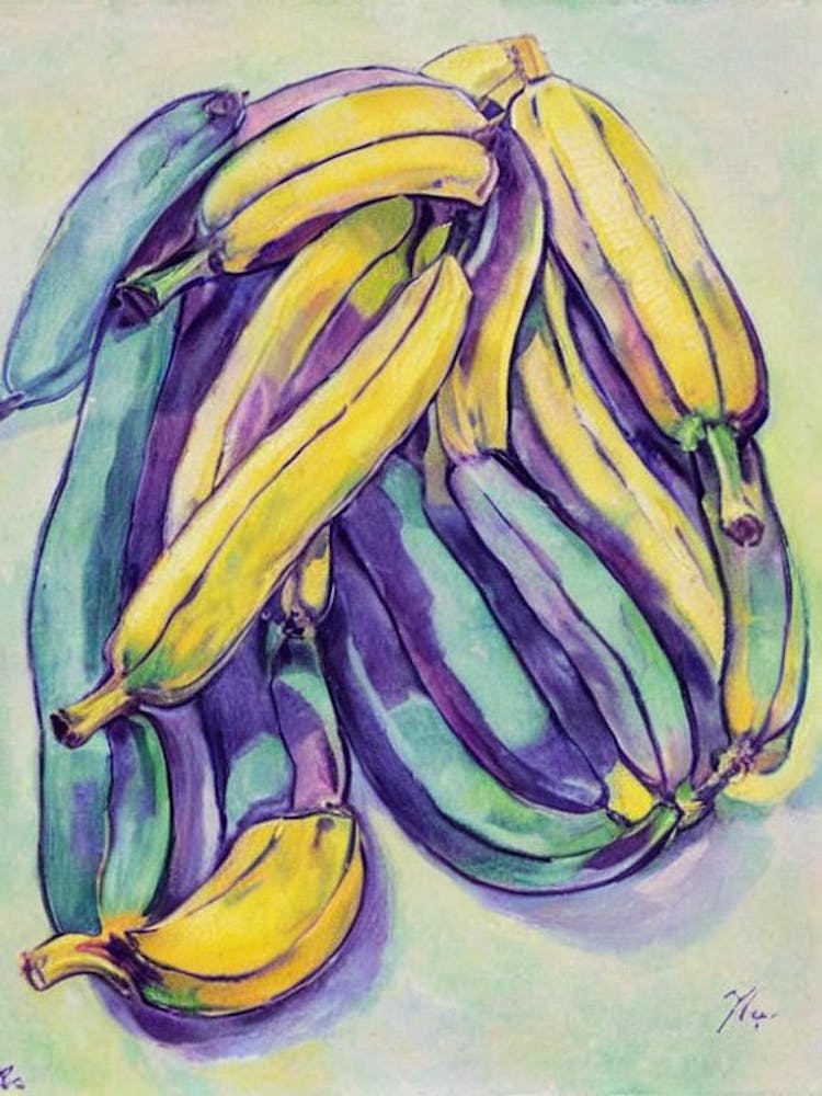 Banana 1 Vintage Sketch Fruit
