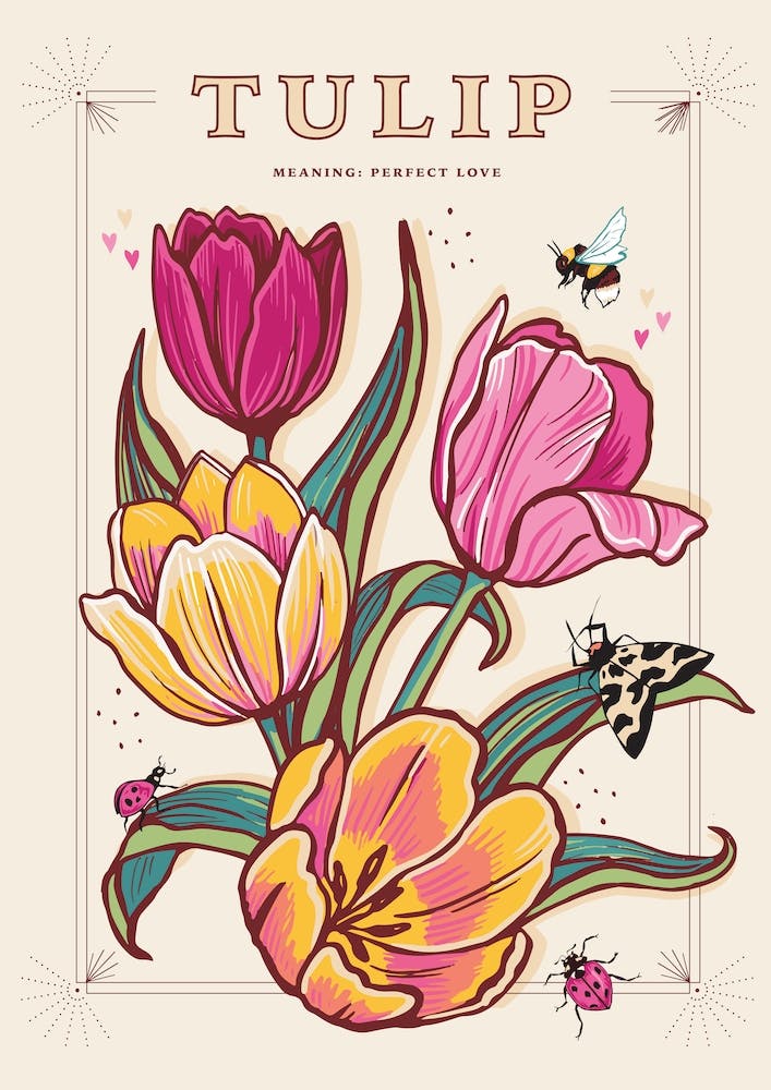 Tulip On Cream