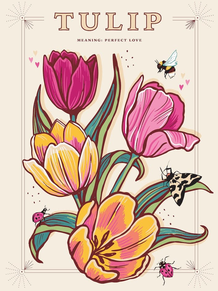 Tulip On Cream