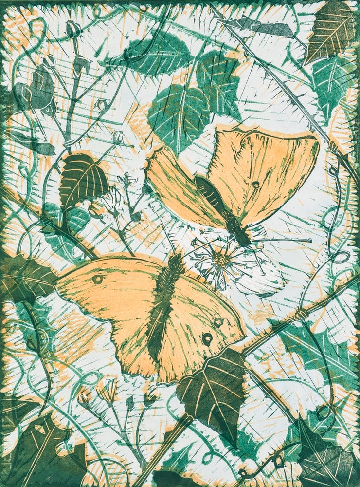 Two Butterflies on a Flower 1