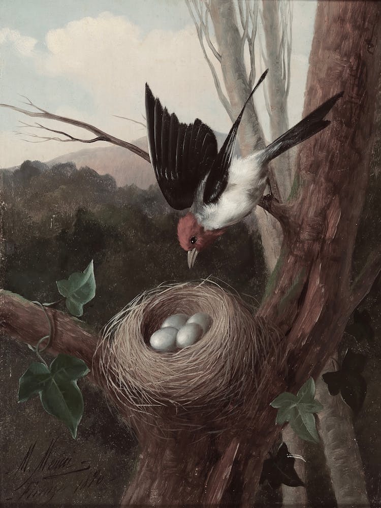Bird In A Nest
