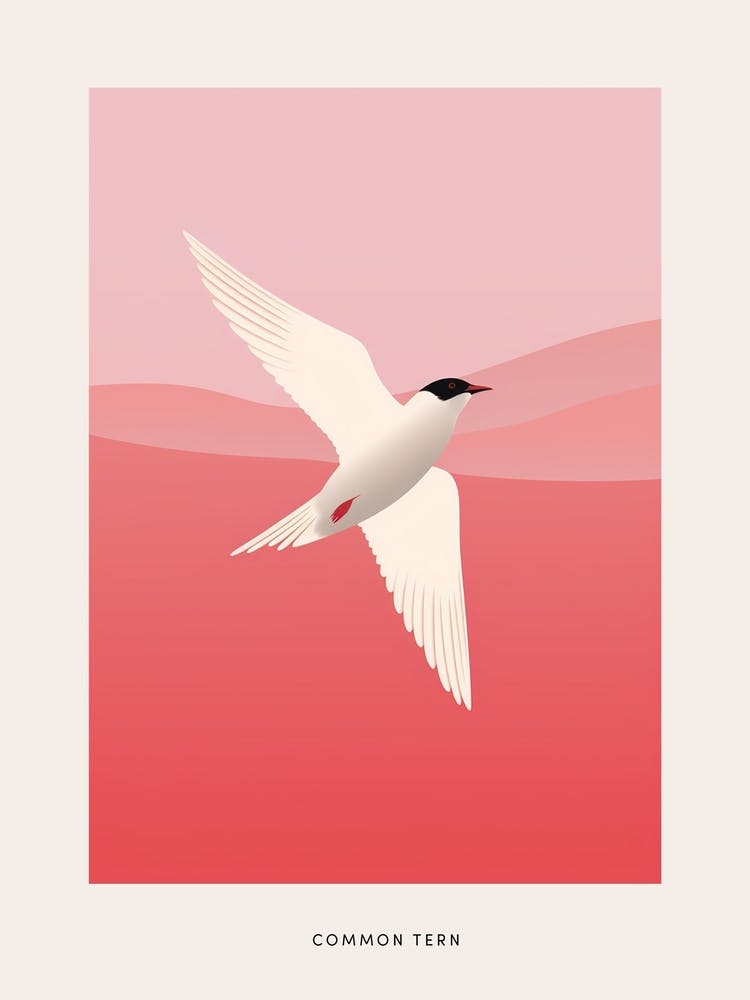 Minimalist Common Tern 2 Bird Poster