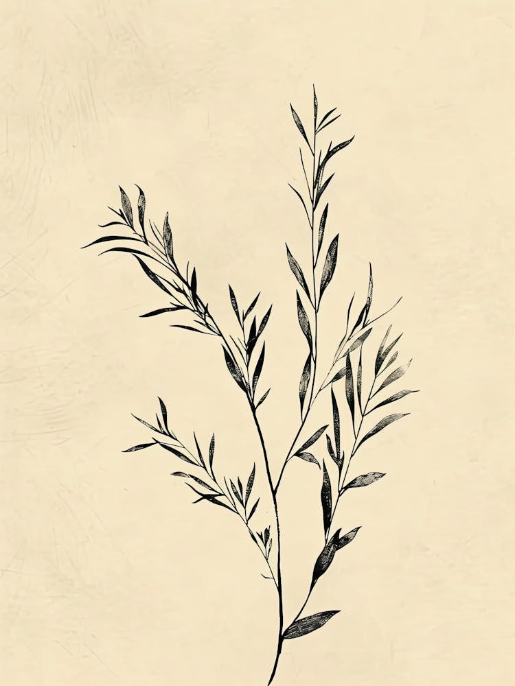 Doha Flower Market Boho Minimalist Style