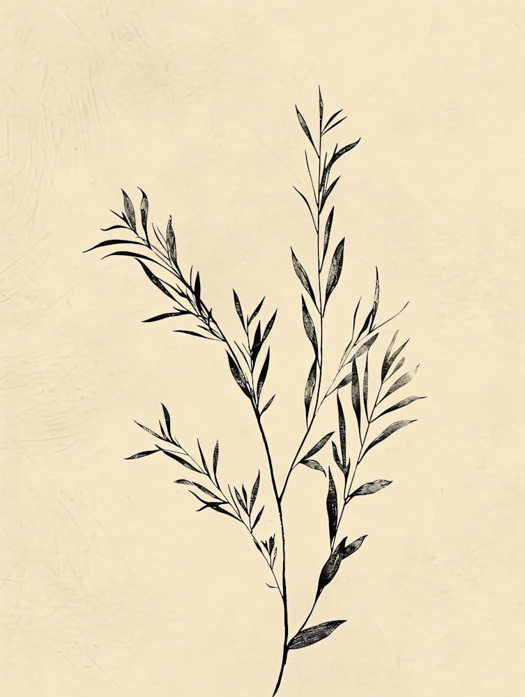 Doha Flower Market Boho Minimalist Style