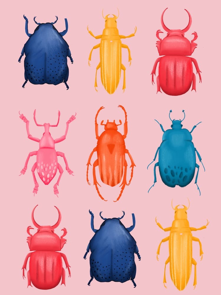 Beetles