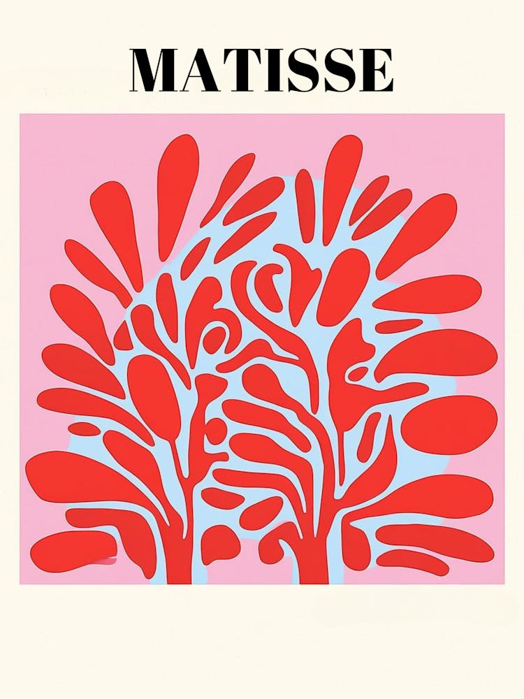 Matisse 7