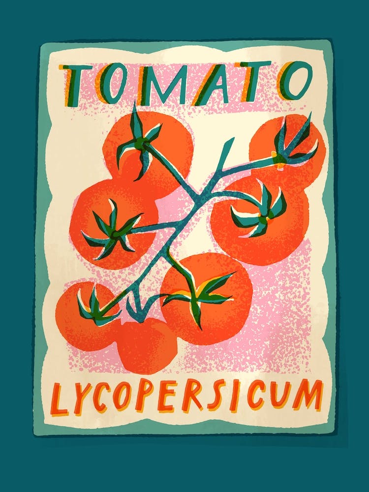 Tomato Seed Packet