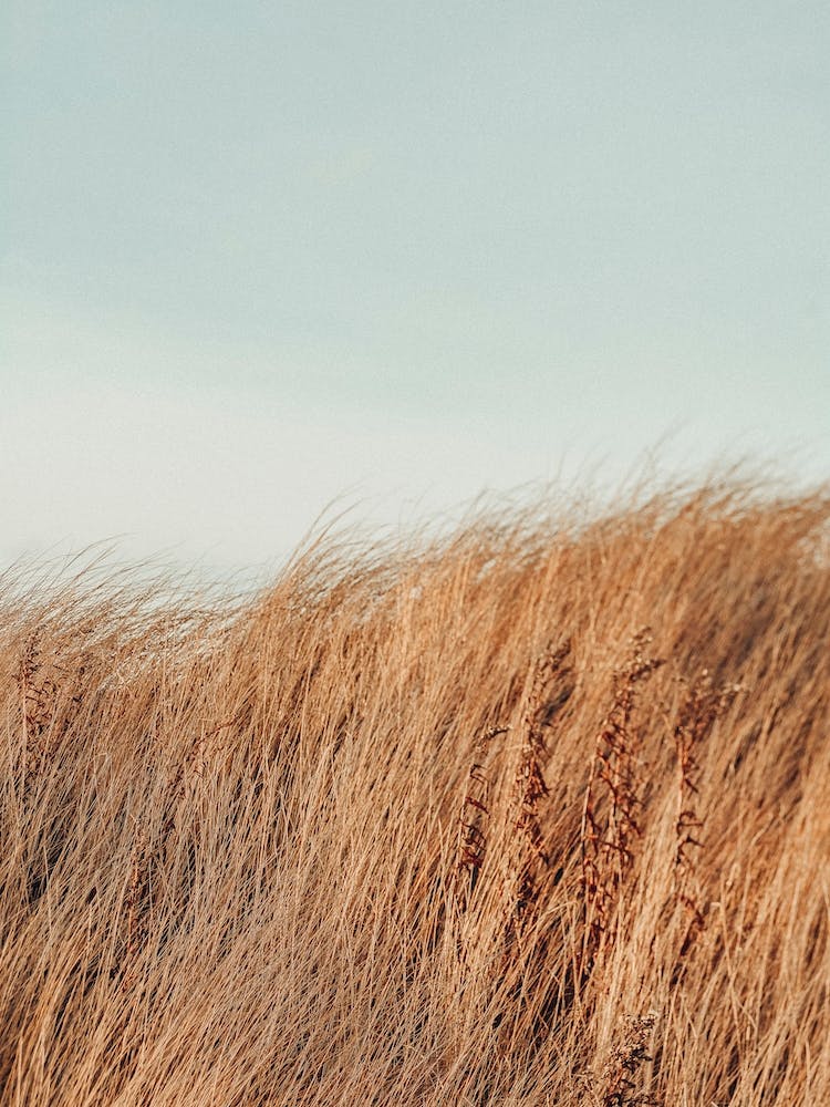 Last Autumn At The Beach