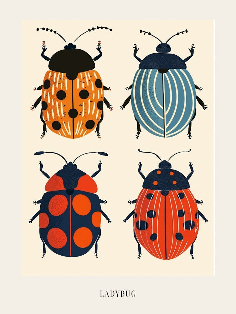 Colourful Insect Illustration Ladybug 32 Poster
