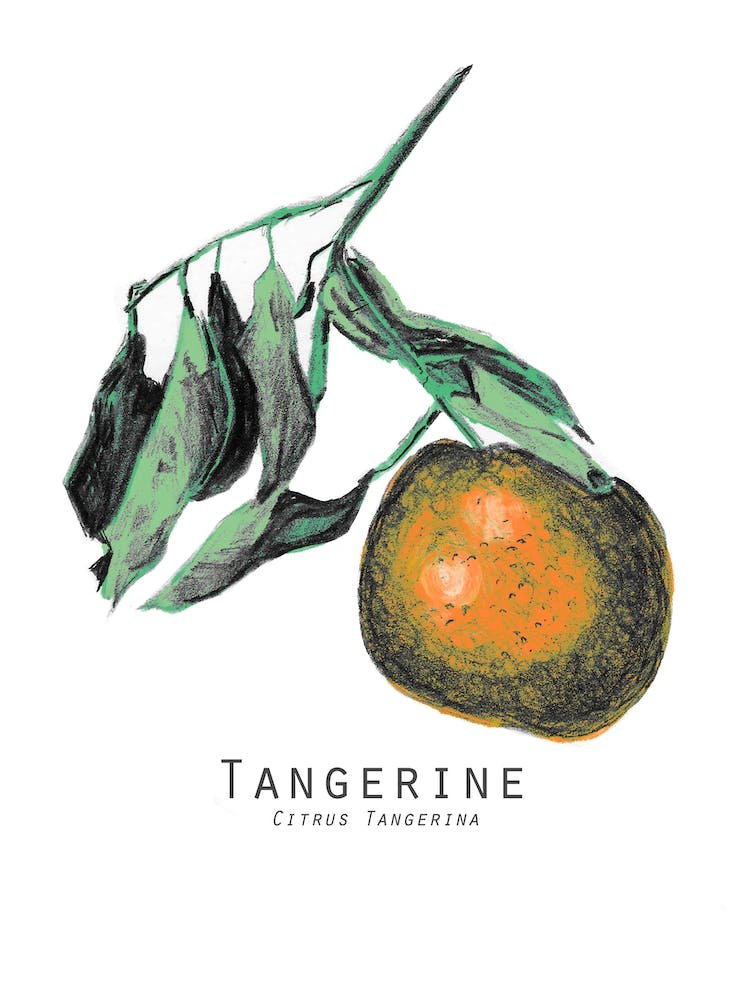 Tangerine