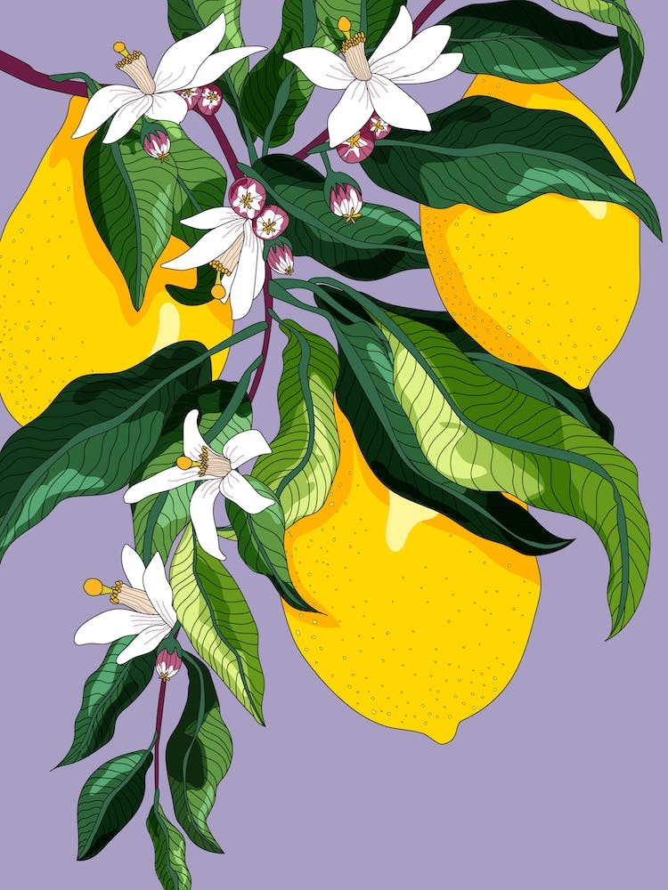 Juicy Lemon Blossoms