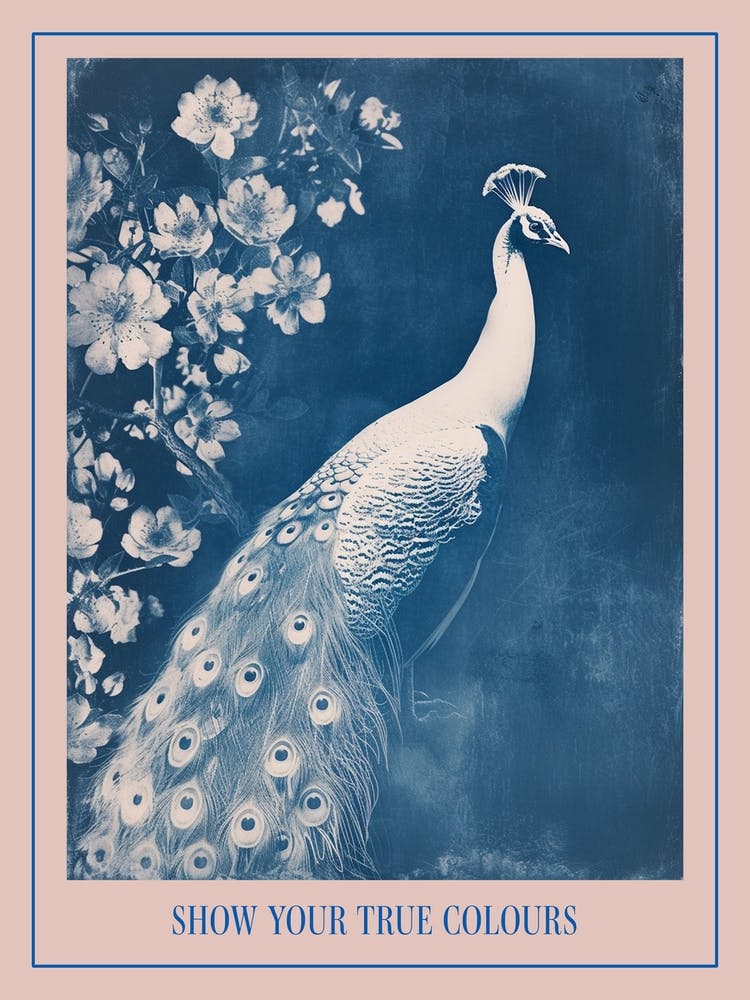 Floral White & Blue Peacock 3 Poster