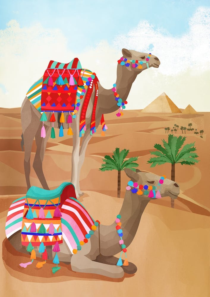 Desert Adventure