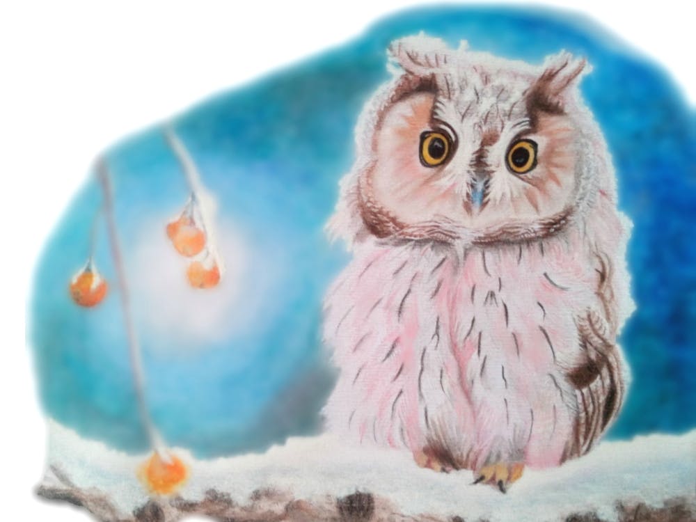 Small owl