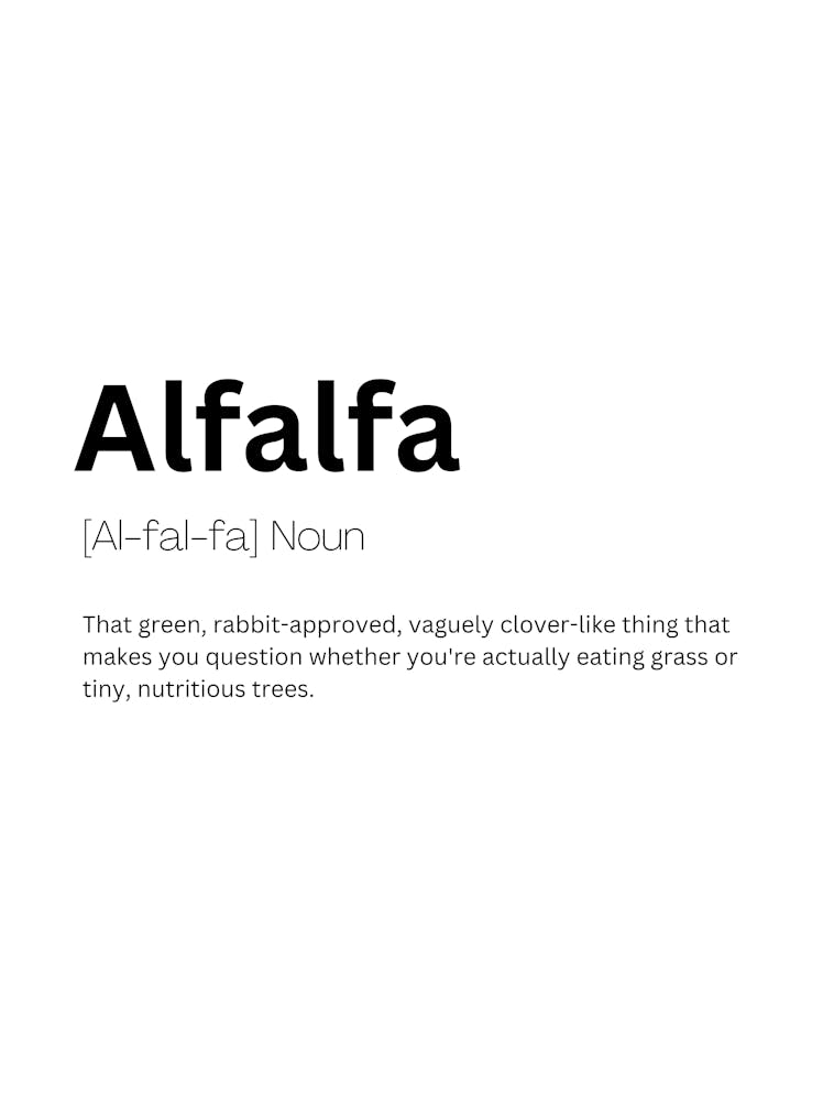 Alfalfa Definition Meaning
