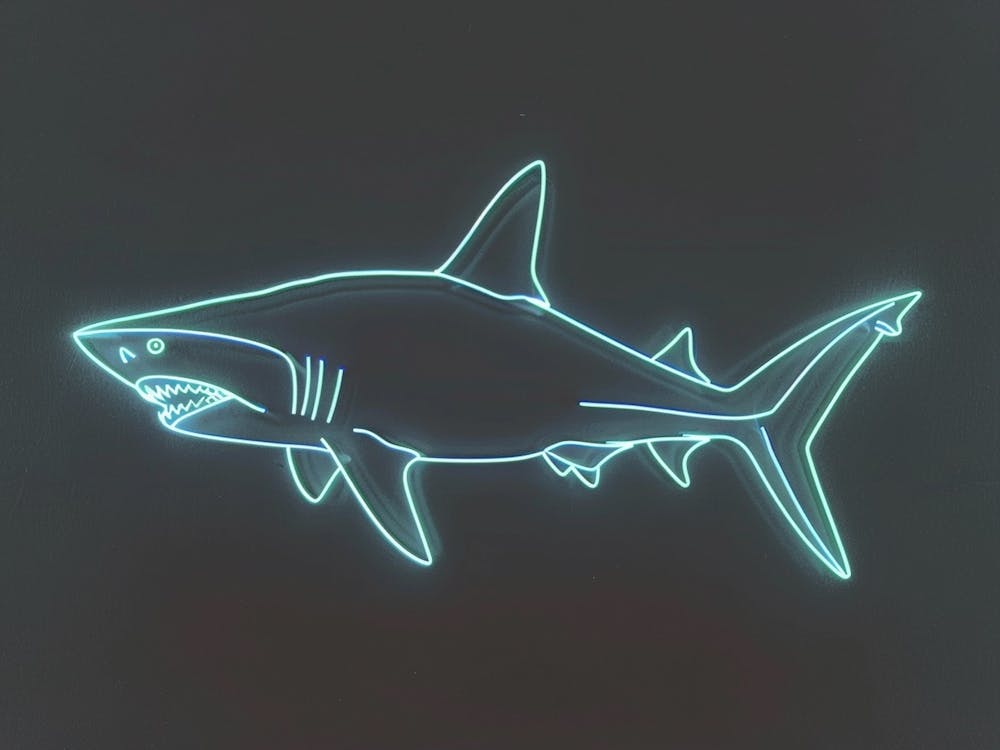 Neon Thresher Shark  6
