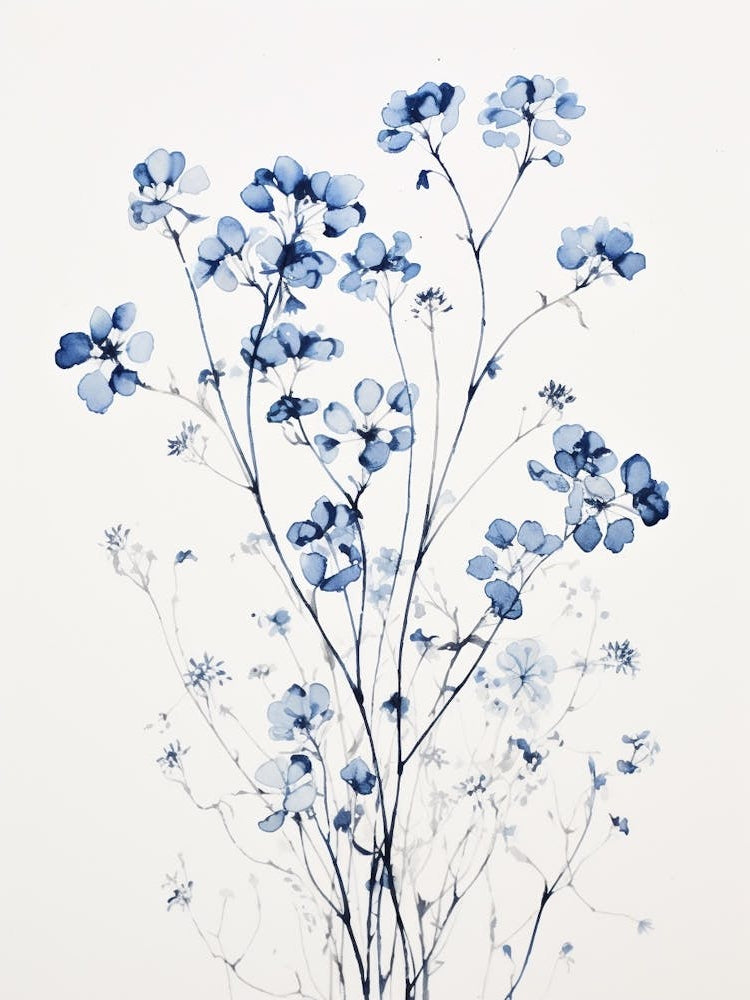 Blue Botanical Gypsophila Babys Breath 1