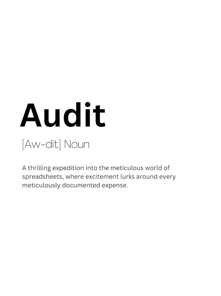 Audit Definition Meaning