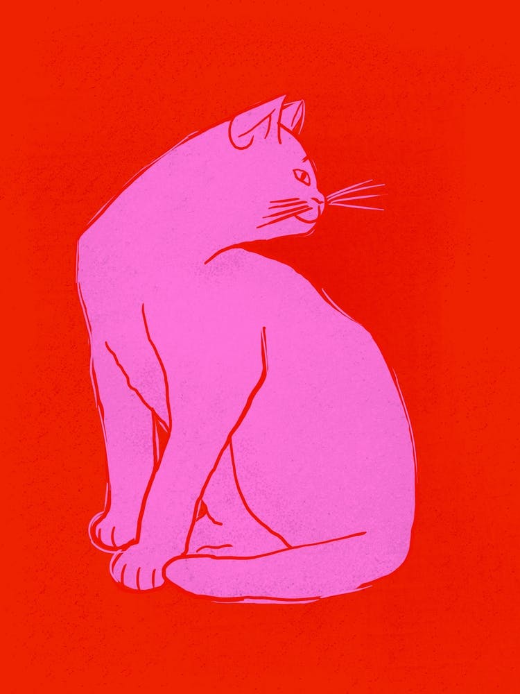Pink Cat